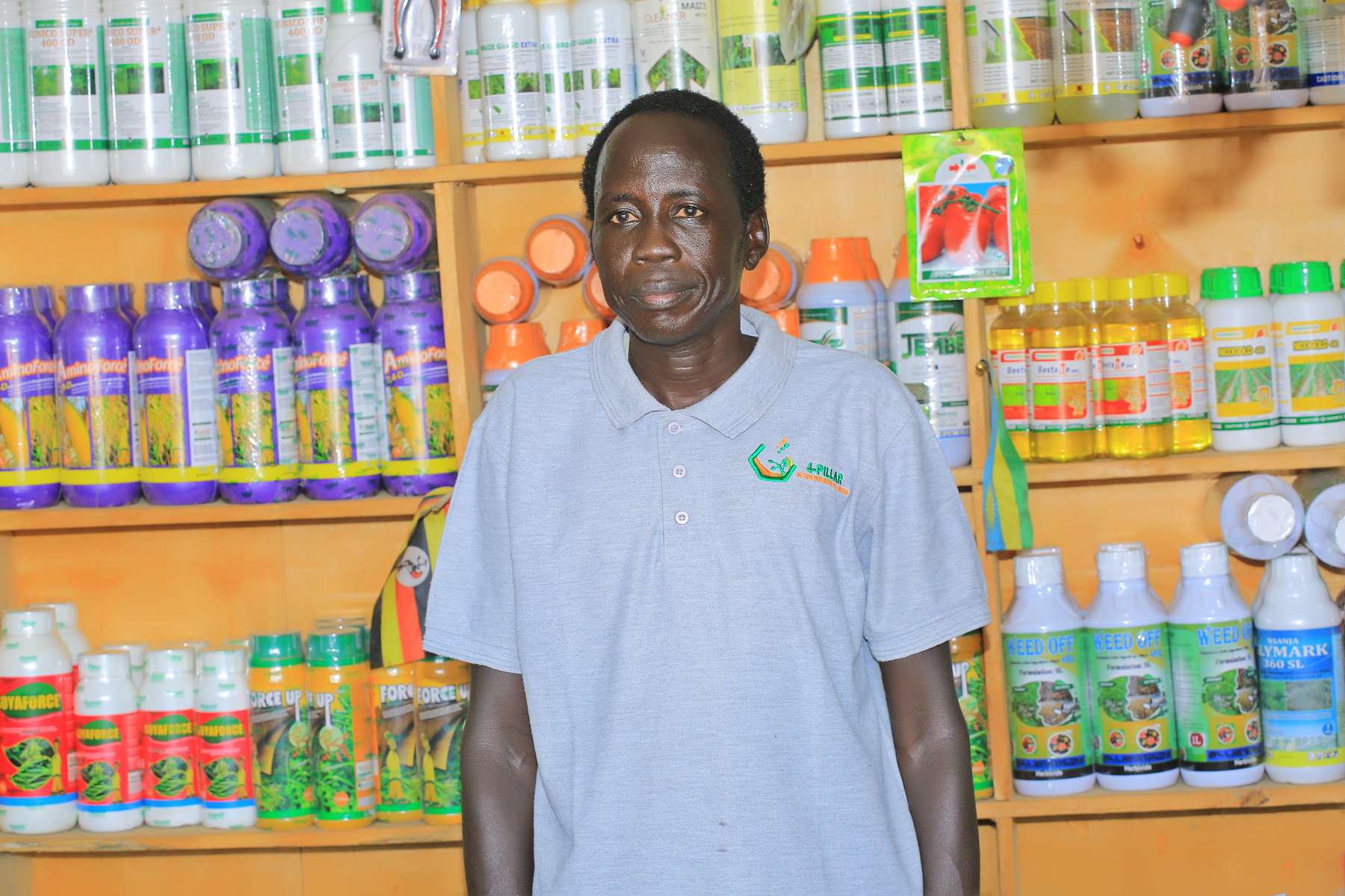 4Pillar Staff Member