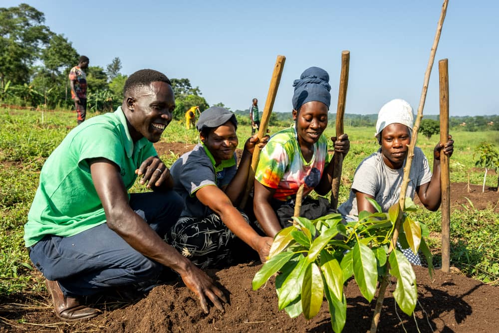 Farmers training session